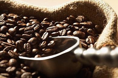 《星空》或遭PS粉丝刷差评 有人甚至有600个MTC号